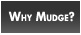 Why Mudge?